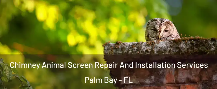 Chimney Animal Screen Repair And Installation Services Palm Bay - FL