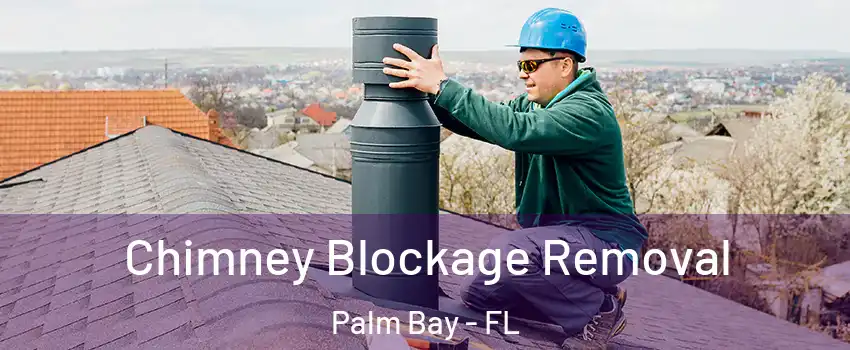 Chimney Blockage Removal Palm Bay - FL