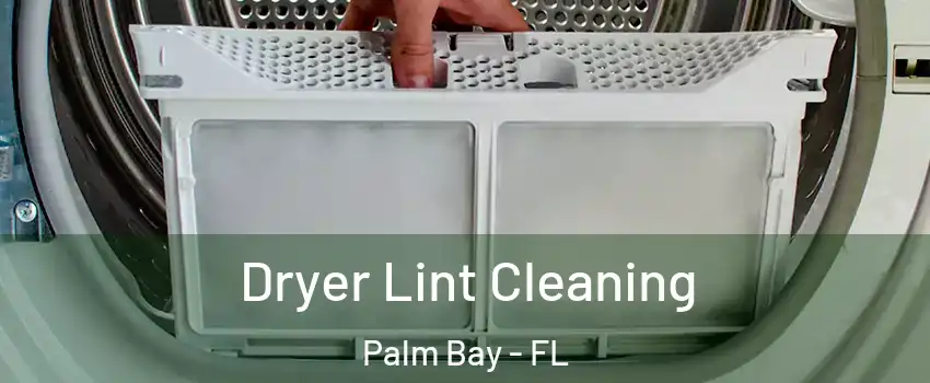 Dryer Lint Cleaning Palm Bay - FL