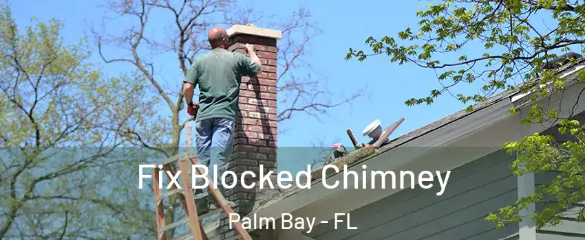 Fix Blocked Chimney Palm Bay - FL