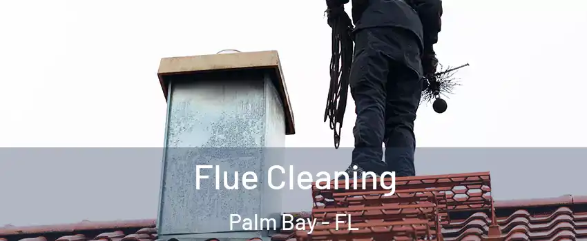Flue Cleaning Palm Bay - FL