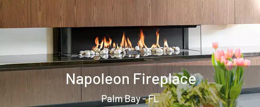 Napoleon Fireplace Palm Bay - FL